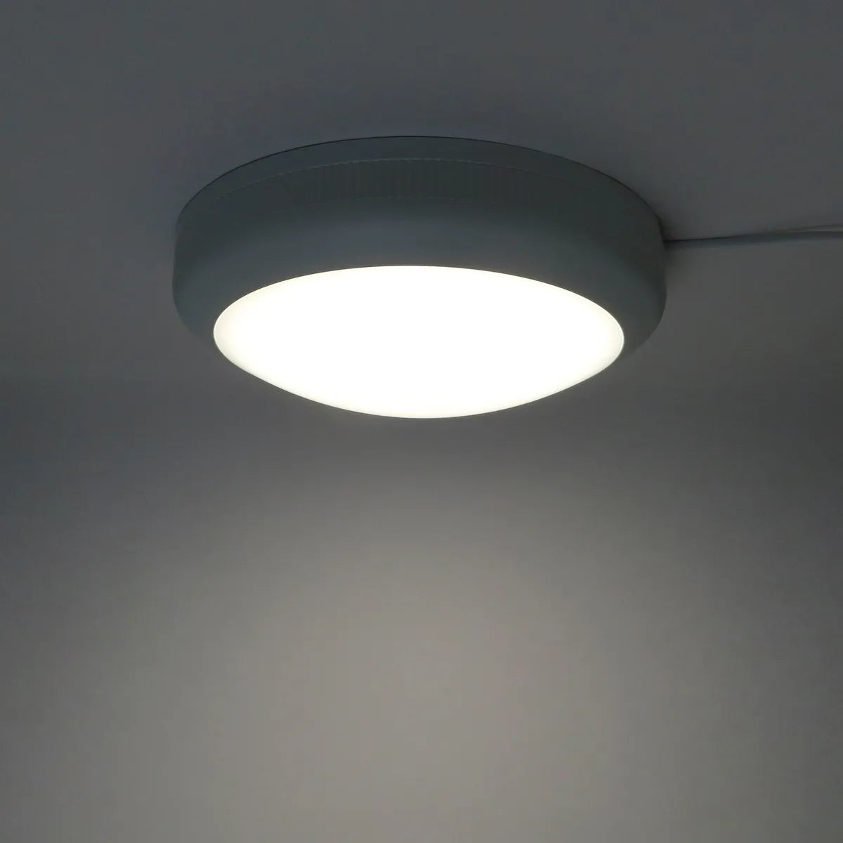 LED Bulkhead surface mounted IP66 IK08 waterproof 36cm 30W