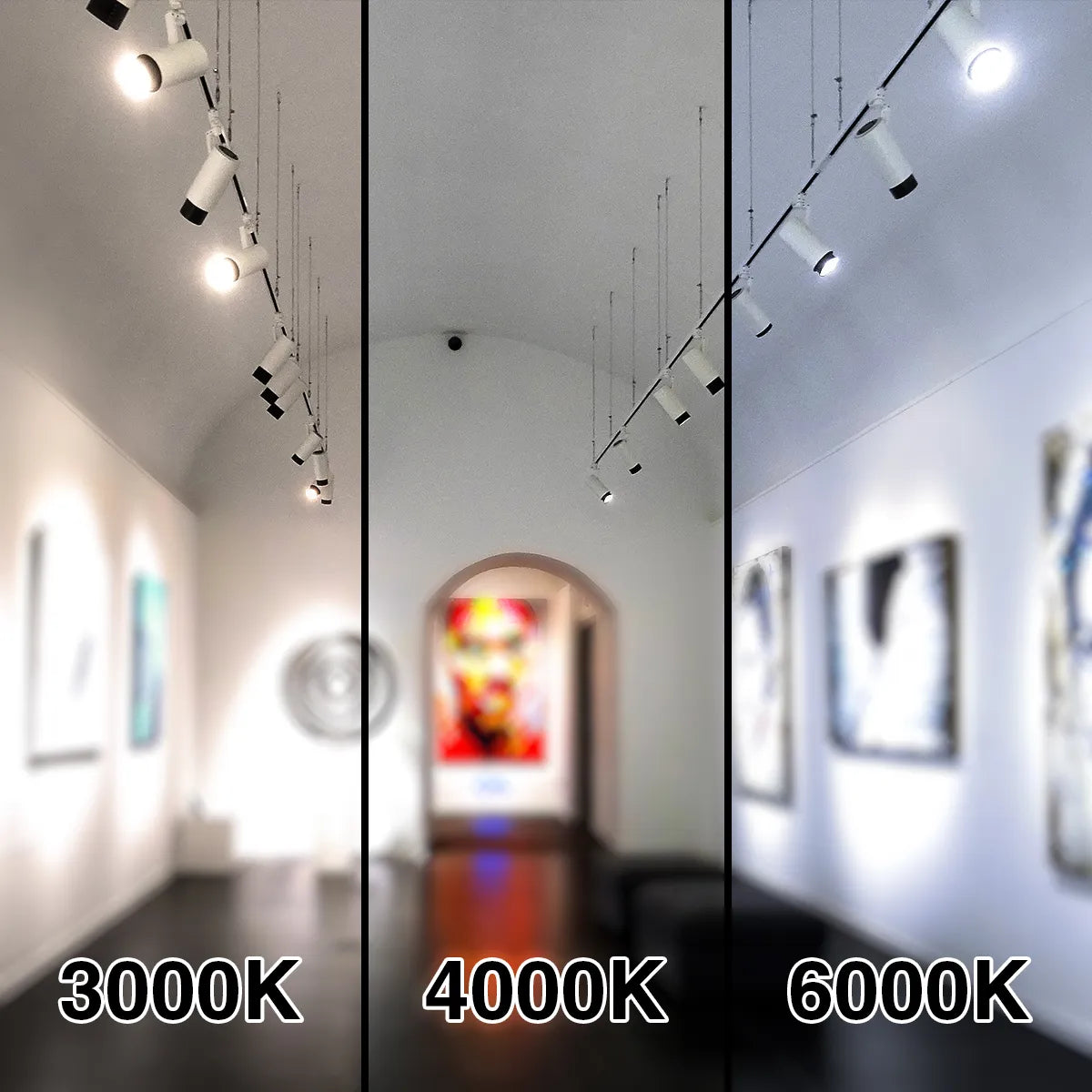 LED Railspot 3 phase 30W CRI>90 with Philips driver