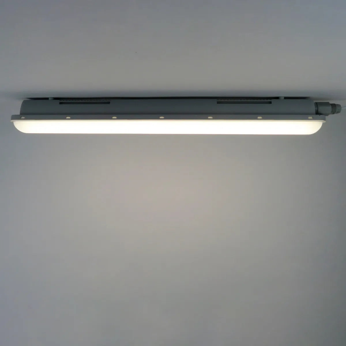 Pantalla LED estanca 120 cm | 36W | IP65 | 155 lm/W | Driver Philips