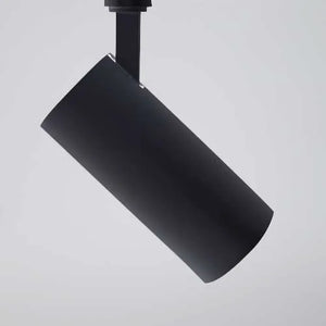Energy-efficient COB LED Railspot 3 phase 20W with Philips driver