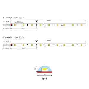 Tira LED SMD2835 120 LEDs/m IP65 | 5 metros