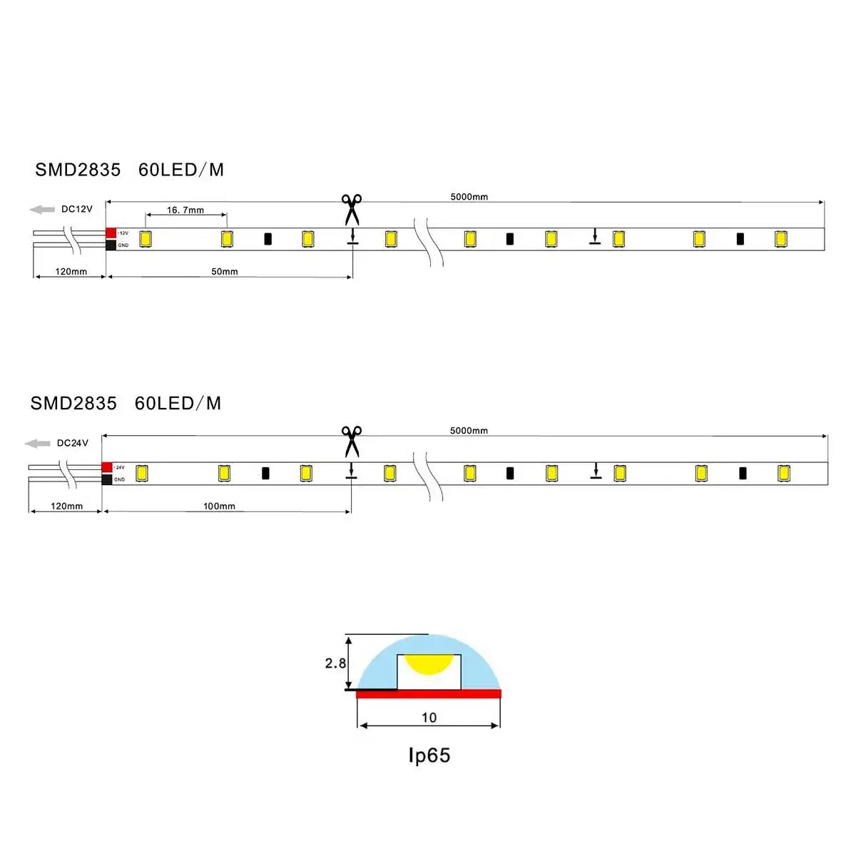 LED Strip SMD2835 60 LEDs/m IP65 | 5 meter