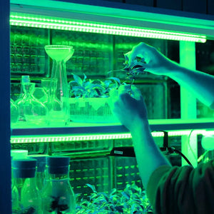 Tira LED multicolor (RGB) SMD5050 60 LEDs/m | 5 metros